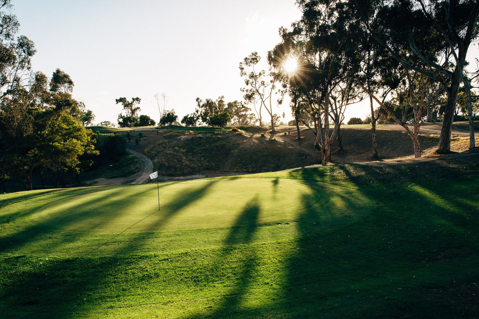 Goat Hill Park Grand Opening, A Revival of the Soul of the Game