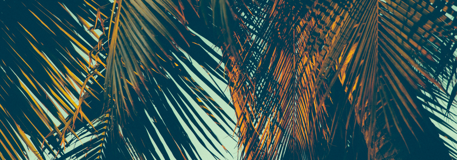 AC Breeze Collection