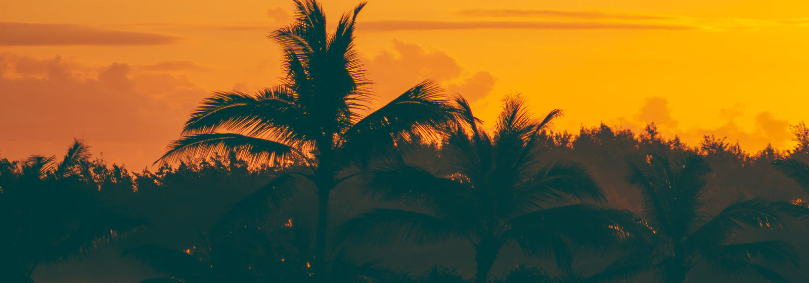 Coast Highway Collection