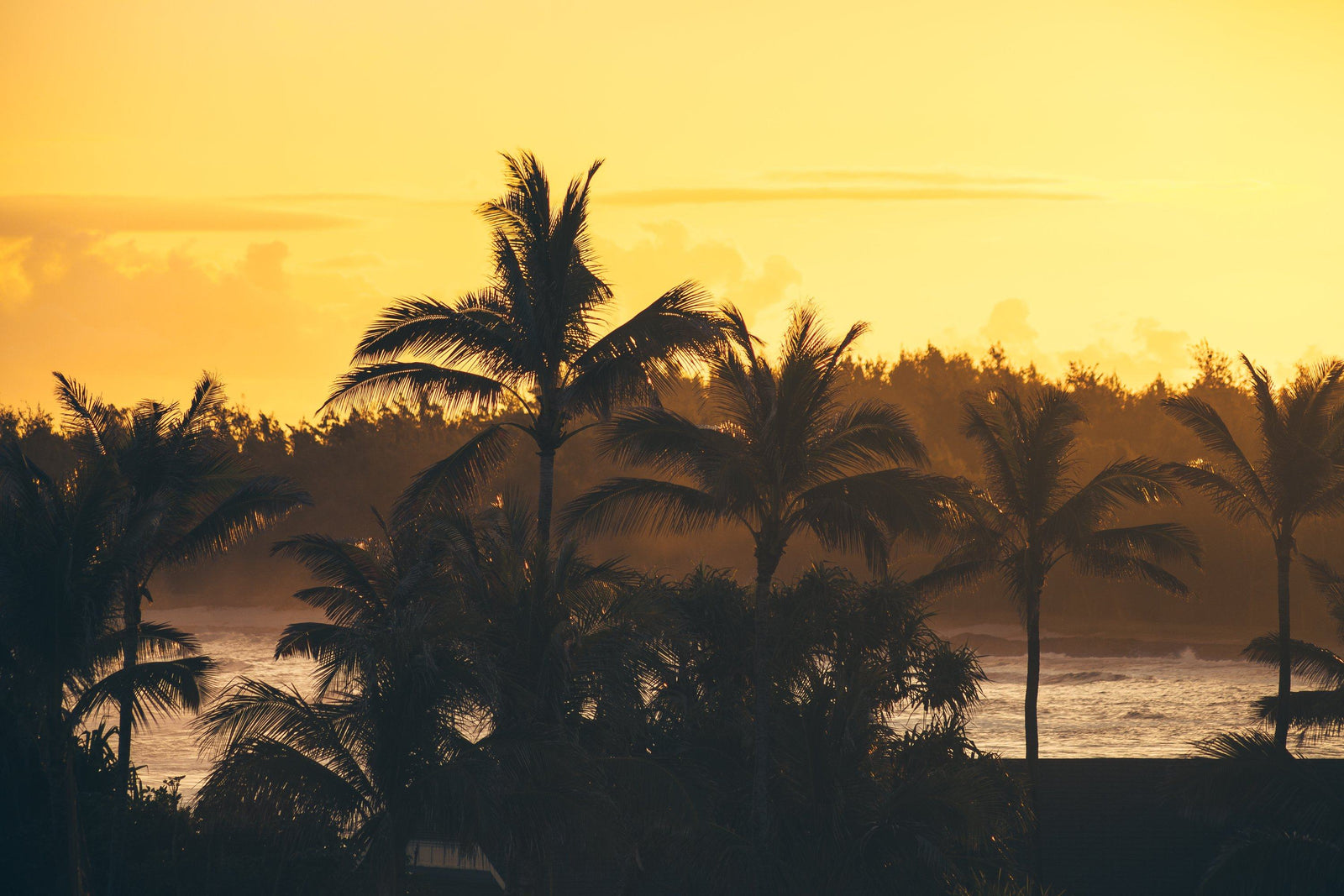 CTL Shorts - Klaviyo Recs