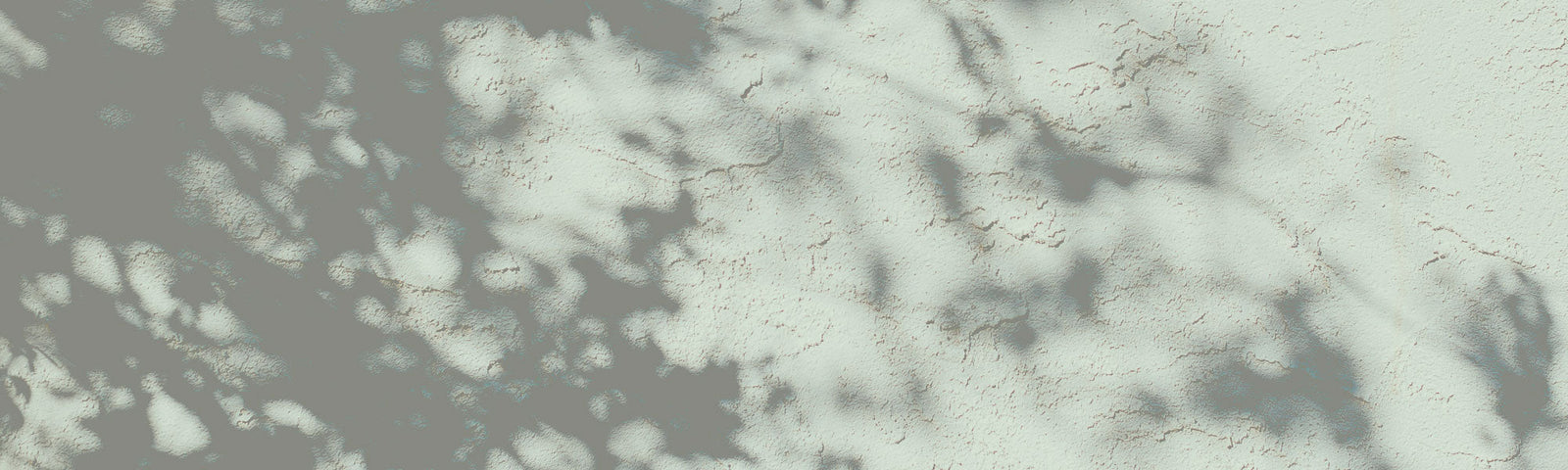 Work Week Essentials