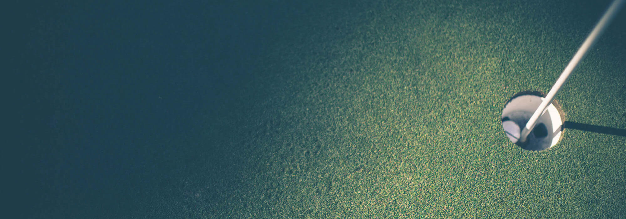 The Golfer