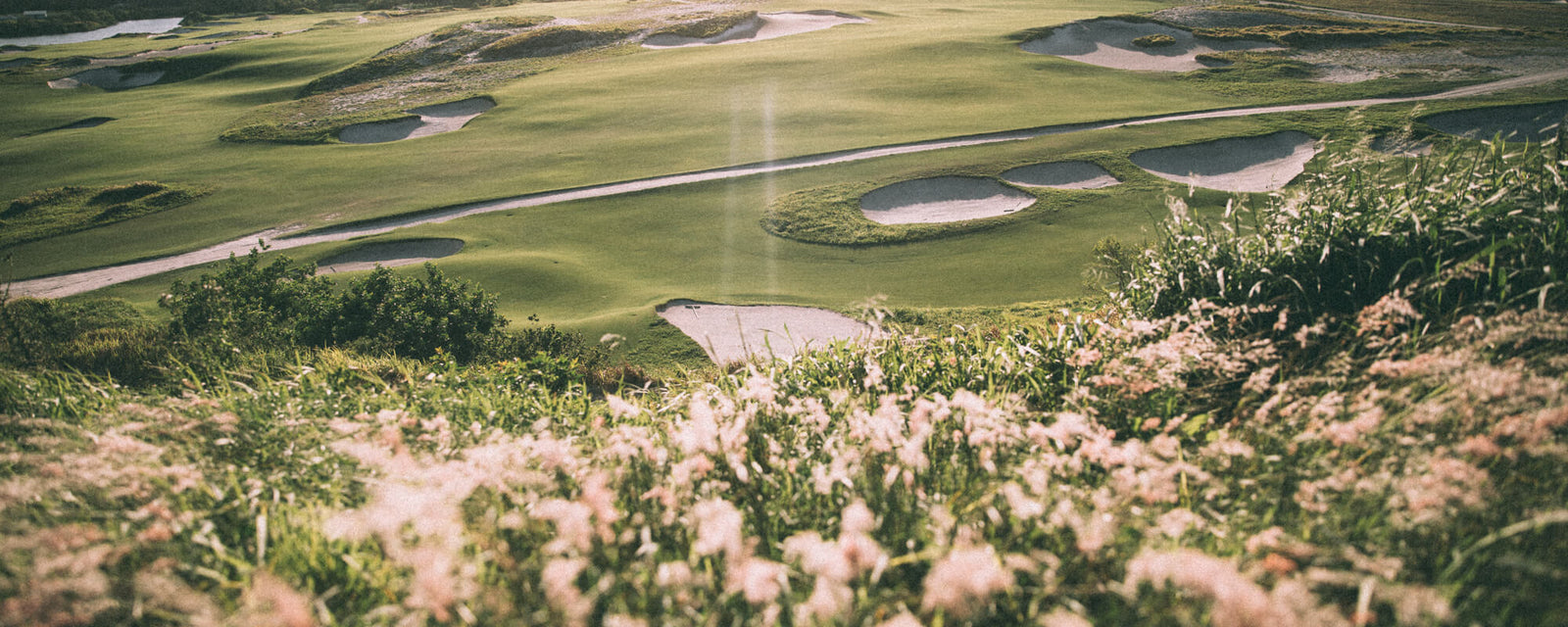Polos & Full Buttons