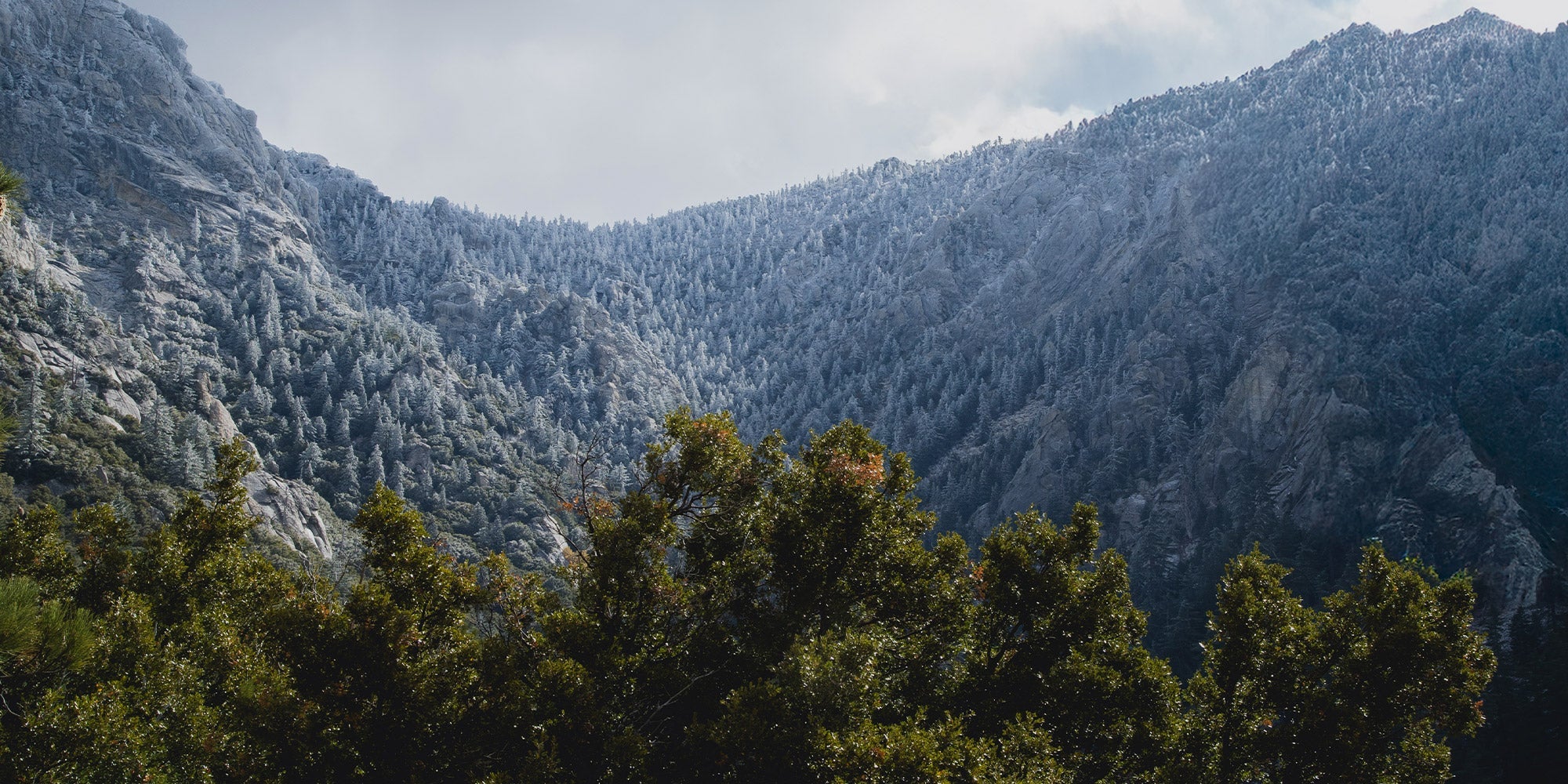 Warmth Rating - Warmer