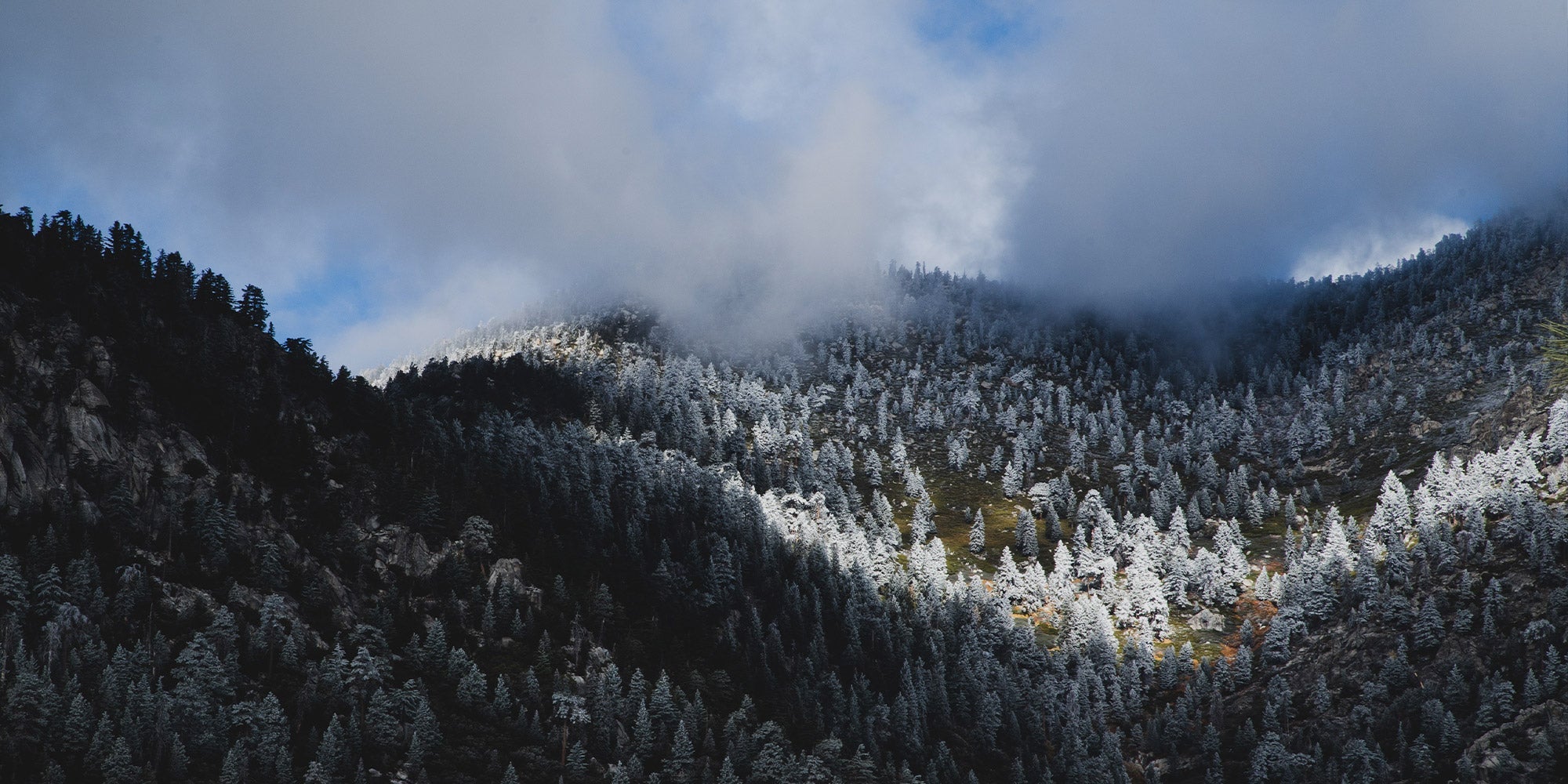 Warmth Rating - Warmest