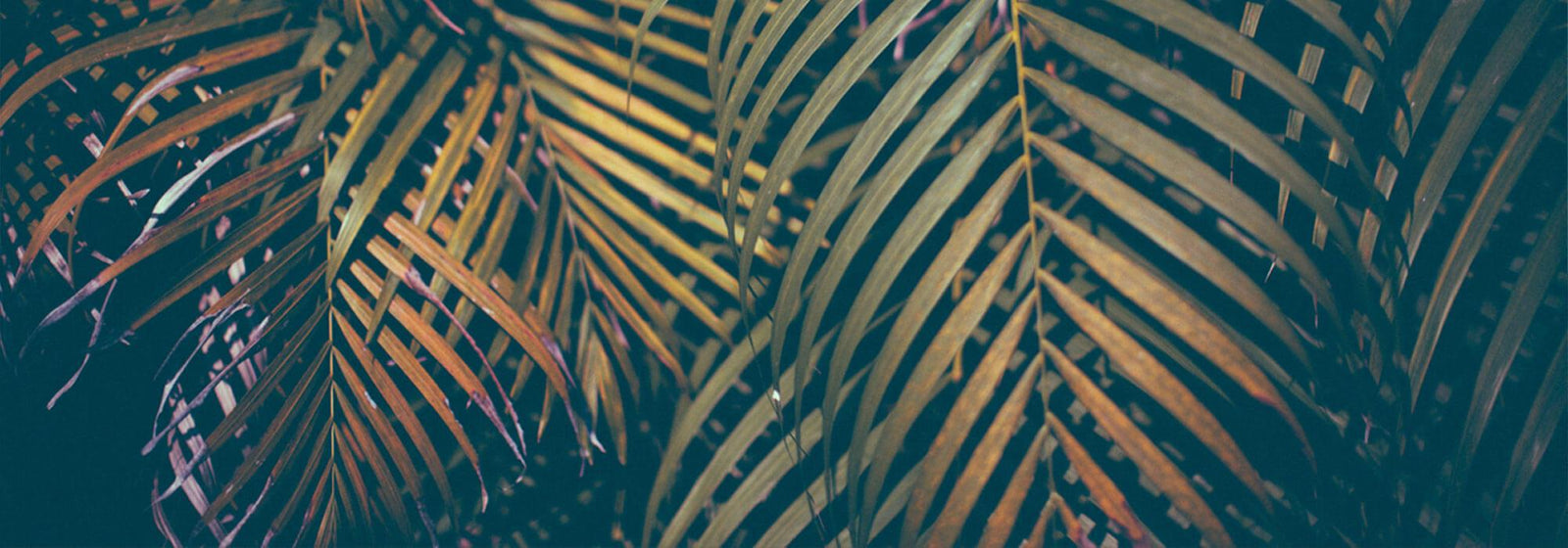 GET THEM WHILE IT'S HOT