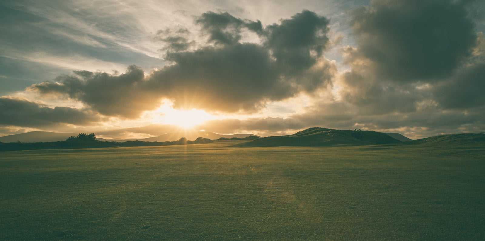 The Golfer's Journal