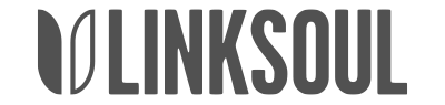 LINKSOUL